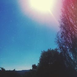 Low angle view of trees against sky