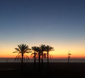 Silhouette of palm trees on beach at sunset