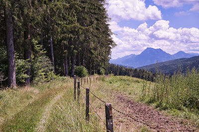 Scenic view of field against sky