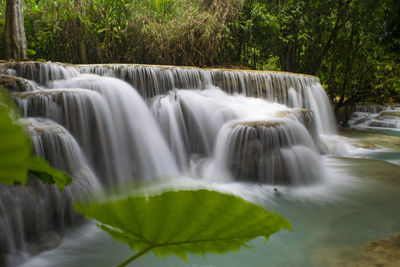 Scenic view of waterfall in forest