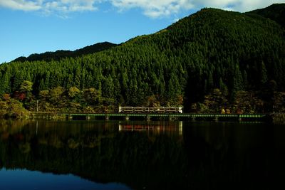 Local train running on the takayama line in autumn