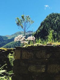 Scenic view of mountains against blue sky