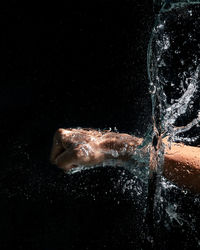 Close-up of fish swimming in sea