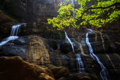 Scenic view of waterfall in forest