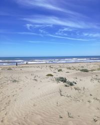 Scenic view of a sunny beach