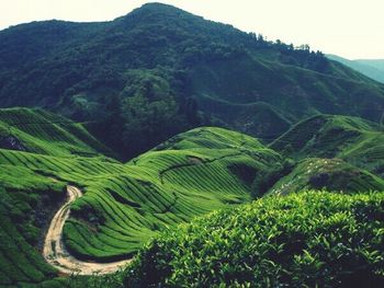 Scenic view of mountains