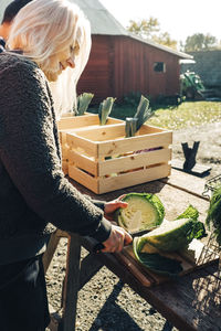 Mature female farmer cutting cabbage at table