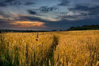 Scenic view of field against cloudy sky