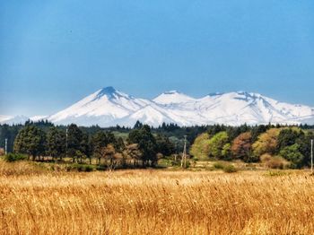 Scenic view of snowcapped field against sky