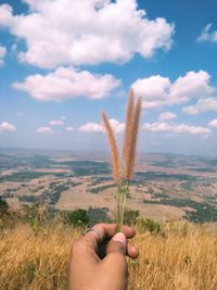 Cropped hand of woman holding plant against sky