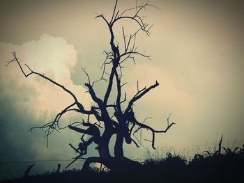 Silhouette bare tree against sky