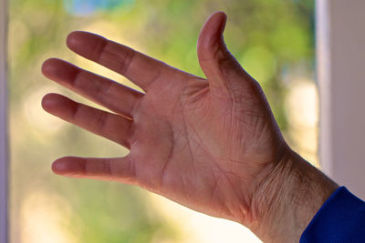 Close-up of person hand holding leaf