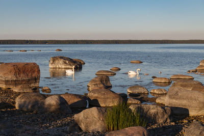 Scenic view of lake against clear sky