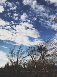 Low angle view of silhouette trees against sky