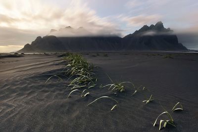 Vestrahorn mountain, at sunset, iceland