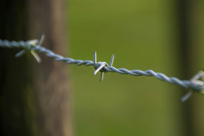 Close-up of barbed wire fence