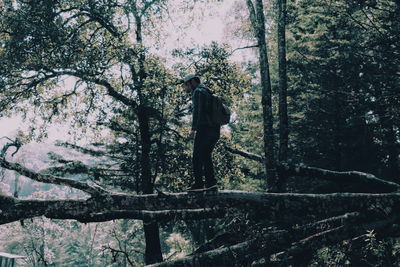 Woman standing on tree trunk