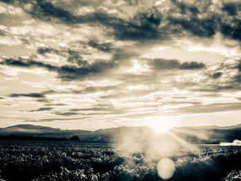 Scenic view of field against sky during sunset