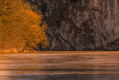 Tree against cliff in bavaria