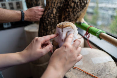 Cropped hands touching owl