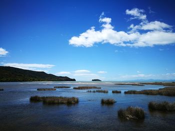 Scenic view of sea against blue sky