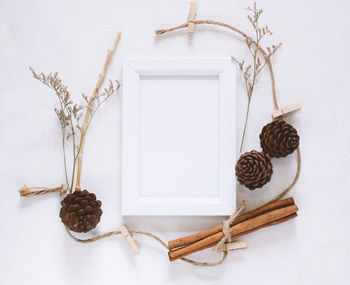 High angle view of pine cone on white table