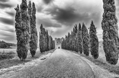 Panoramic view of road amidst trees against sky