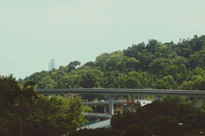 Bridge over trees in city against clear sky