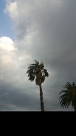 Low angle view of silhouette palm tree against sky