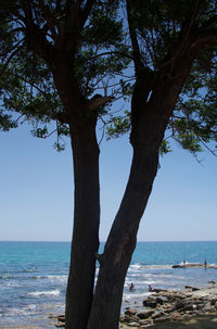 Scenic view of sea against clear sky