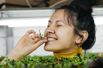 Woman farmer growing microgreen on urban indoor vertical garden person looking after plants on farm 