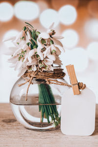 Bouquet of snowdrops in a glass vase with water. copy space for text. mock up with a tag. early 