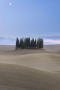 Scenic view of desert against sky