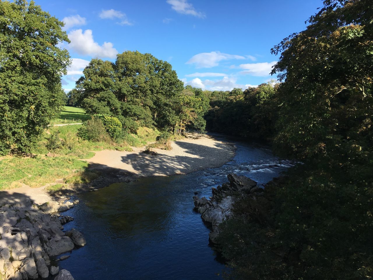 VIEW OF STREAM ALONG TREES