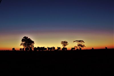 Silhouette trees on field against clear sky at sunset