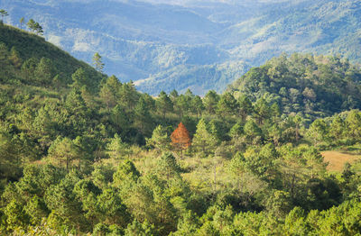 High angle view of trees on landscape