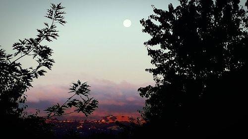 Low angle view of silhouette trees against sky at sunset