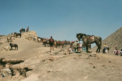 Panoramic view of people on land against clear sky