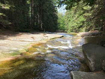 Stream flowing through rocks in forest