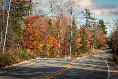 Road passing through trees