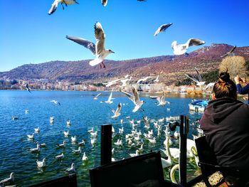 Birds flying over water against clear sky