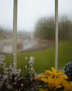 Close-up of wet window during rainy season