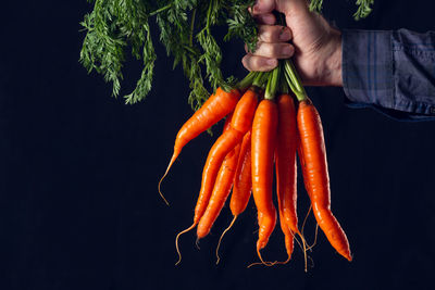 Close-up of man holding orange leaf against black background