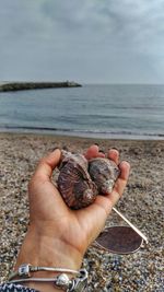 Close-up of hand holding bird at beach against sky