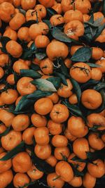 Full frame shot of fruits for sale at market stall