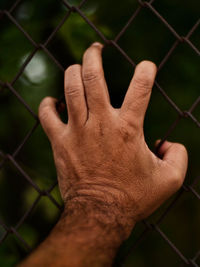 Close-up of human hand on chainlink fence