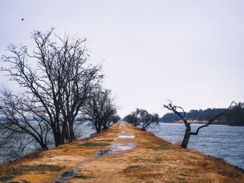 Wet pathway amidst lake against clear sky