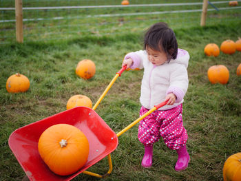Full length of girl holding pumpkin in wagon on field