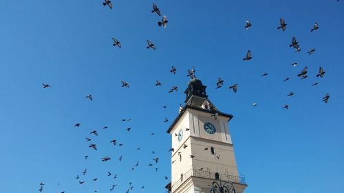 Low angle view of clock tower against blue sky