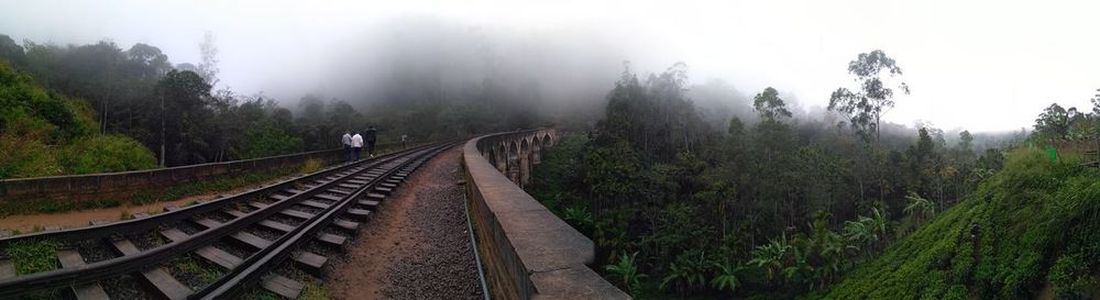 Railroad tracks amidst trees against sky